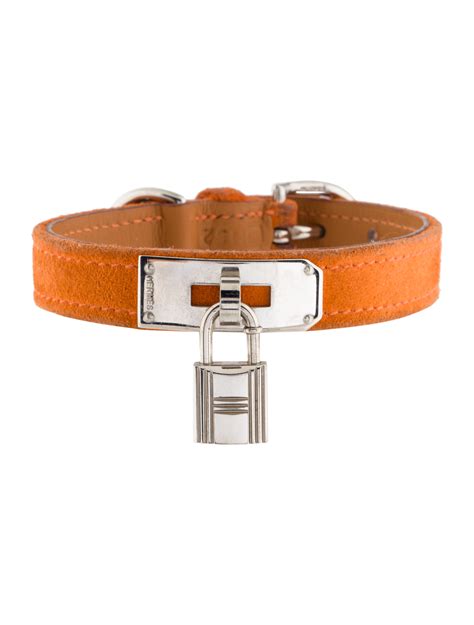 hermès dog accessories